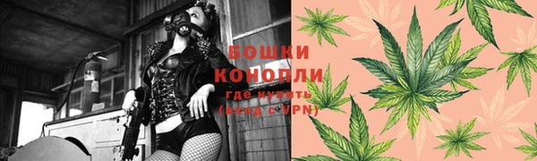 прущие грибы Надым