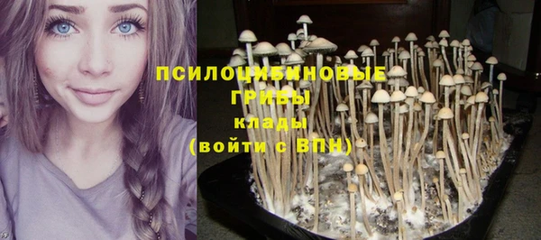 бошки Нефтегорск
