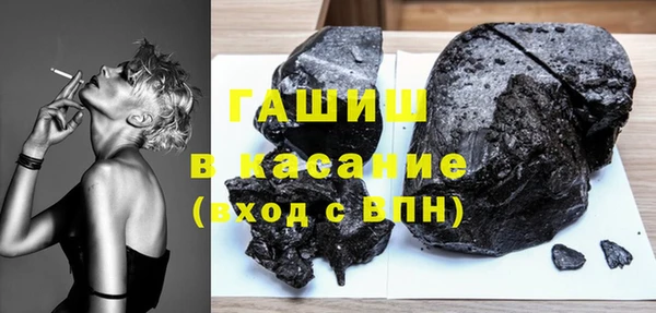 прущие грибы Надым