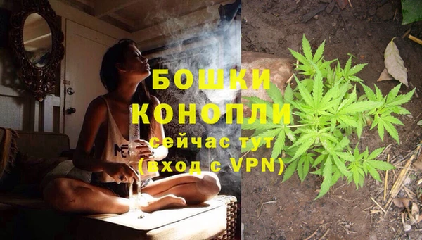 шишки Нефтекумск